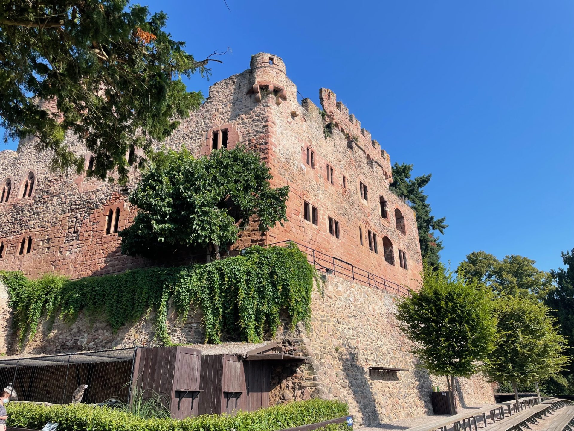 chateau de la volerie des aigles